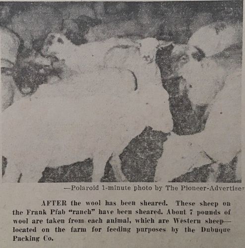 Photograph 13 of 52, 1952 collection