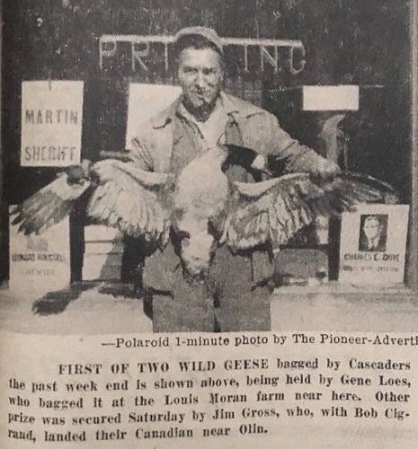 Photograph 40 of 52, 1952 collection
