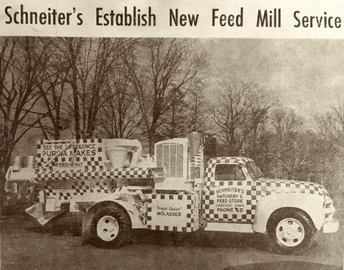 Photograph 44 of 186, 1955 collection
