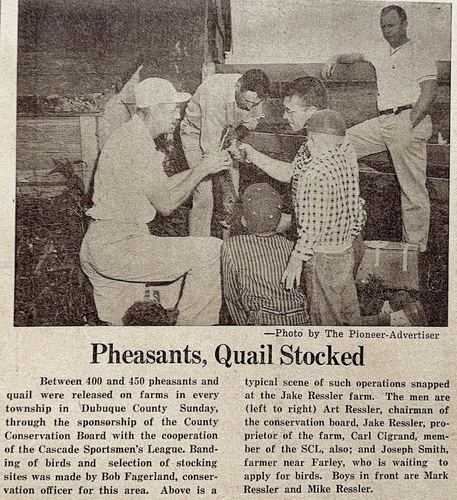 Photograph 235 of 442, 1959 collection