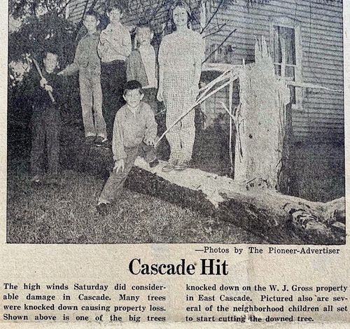 Photograph 325 of 442, 1959 collection