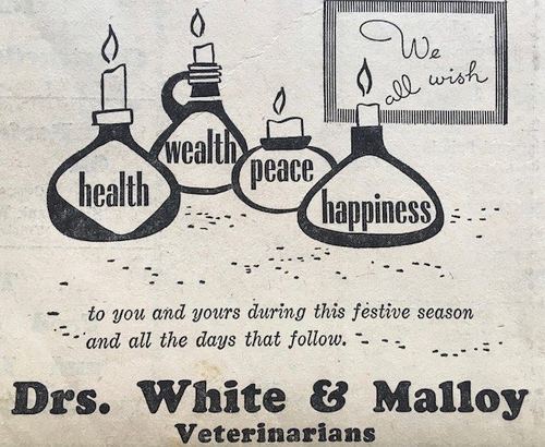 Photograph 166 of 707, 1960 collection