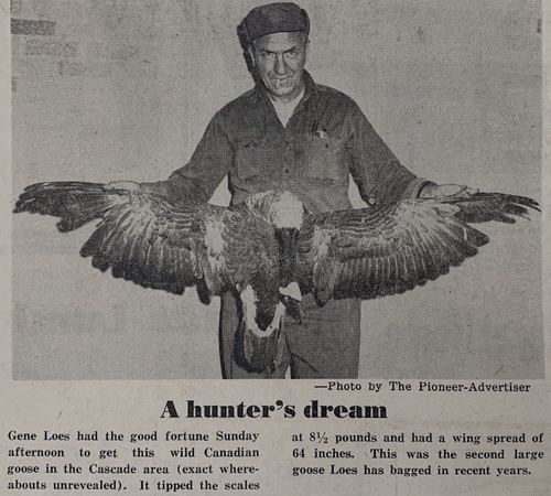 Photograph 511 of 707, 1960 collection