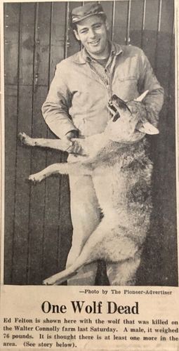 Photograph 596 of 707, 1960 collection