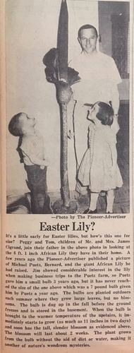 Photograph 611 of 707, 1960 collection