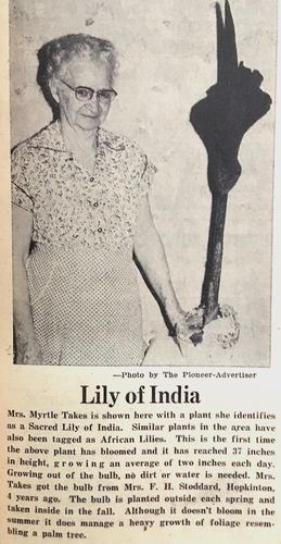 Photograph 625 of 707, 1960 collection