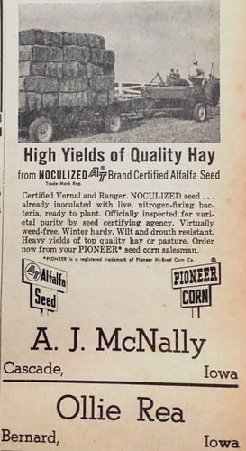 Photograph 627 of 707, 1960 collection