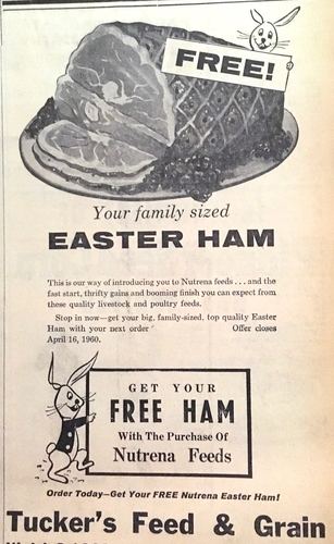Photograph 641 of 707, 1960 collection