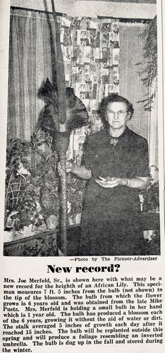 Photograph 106 of 258, 1961 Part 1 collection