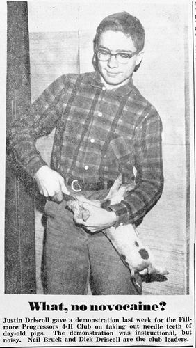 Photograph 95 of 169, 1965 Part 1 collection