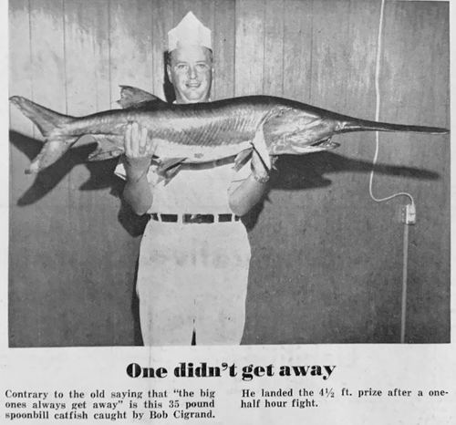 Photograph 46 of 186, 1966 Part 2 collection