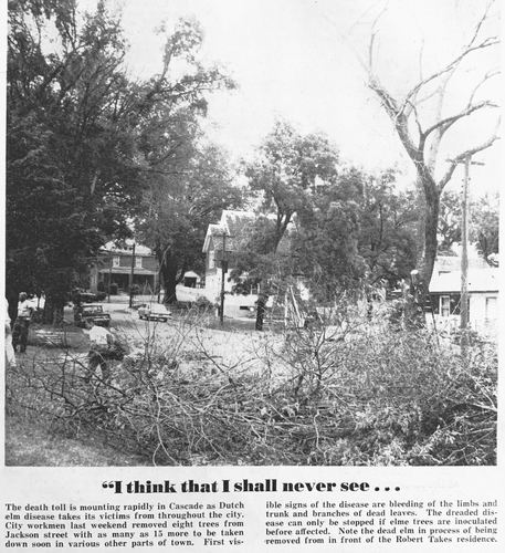 Photograph 47 of 186, 1966 Part 2 collection