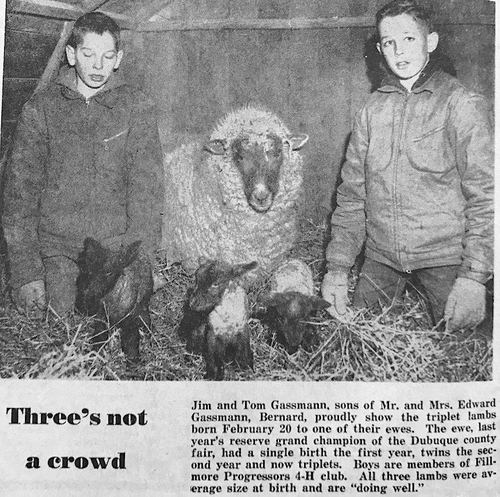 Photograph 53 of 323, 1967 collection