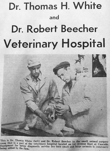 Photograph 70 of 323, 1967 collection
