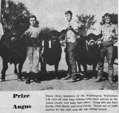 Photograph 206 of 323, 1967 collection