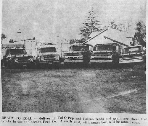 Photograph 240 of 323, 1967 collection