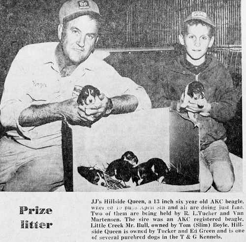 Photograph 146 of 228, 1969 Part 1 collection