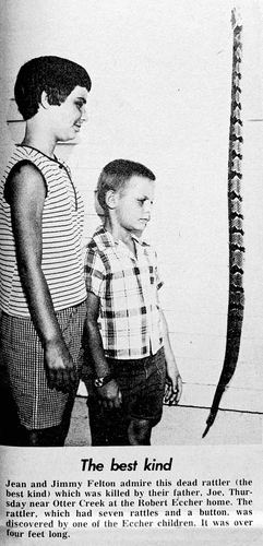 Photograph 198 of 228, 1969 Part 1 collection