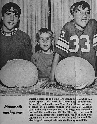 Photograph 241 of 358, 1970 collection