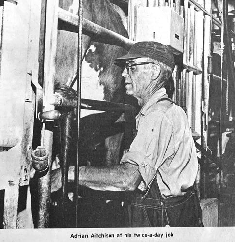 Photograph 84 of 347, 1972 collection