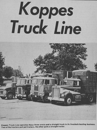 Photograph 138 of 347, 1972 collection