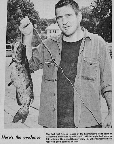 Photograph 142 of 347, 1972 collection