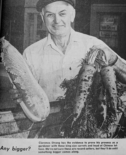 Photograph 164 of 347, 1972 collection