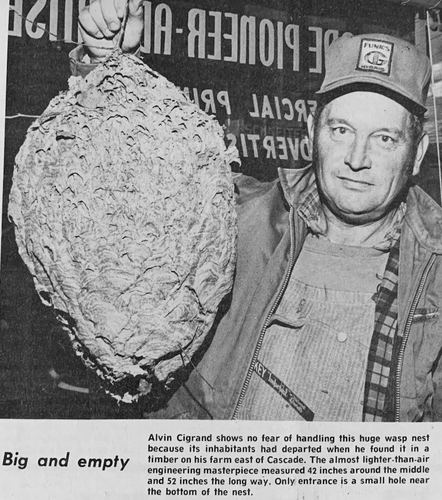 Photograph 186 of 347, 1972 collection