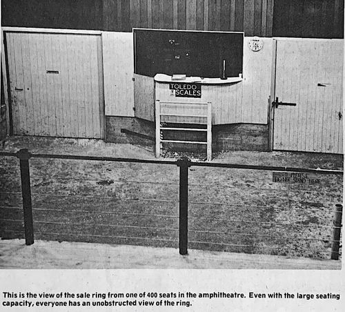 Photograph 329 of 347, 1972 collection