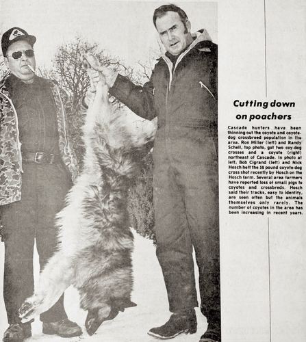 Photograph 5 of 295, 1978 collection