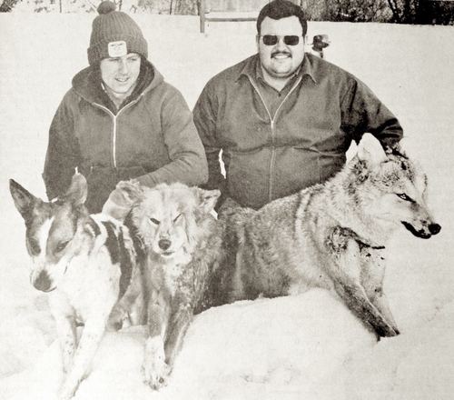 Photograph 6 of 295, 1978 collection