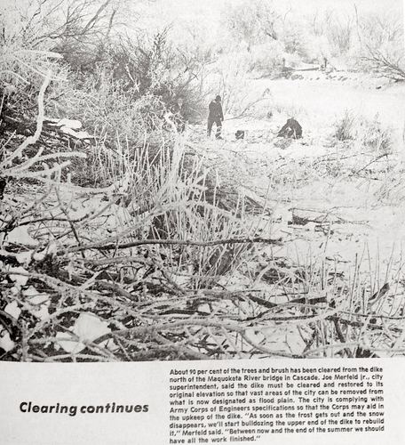 Photograph 8 of 295, 1978 collection