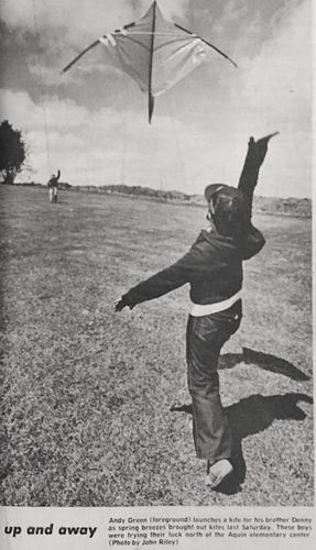 Photograph 84 of 313, 1979 collection