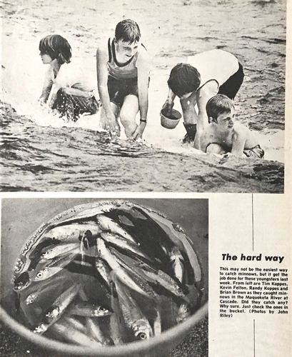Photograph 113 of 313, 1979 collection