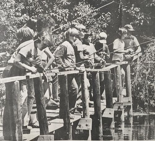Photograph 142 of 313, 1979 collection