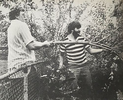 Photograph 149 of 313, 1979 collection