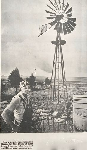 Photograph 157 of 313, 1979 collection