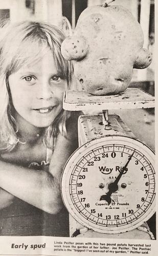 Photograph 195 of 313, 1979 collection