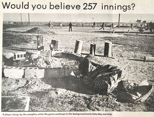 Photograph 227 of 313, 1979 collection