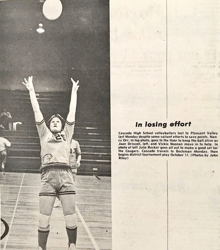 Photograph 248 of 313, 1979 collection