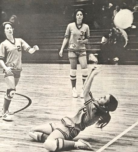 Photograph 249 of 313, 1979 collection