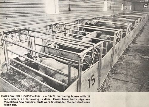 Photograph 267 of 313, 1979 collection