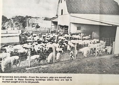 Photograph 268 of 313, 1979 collection