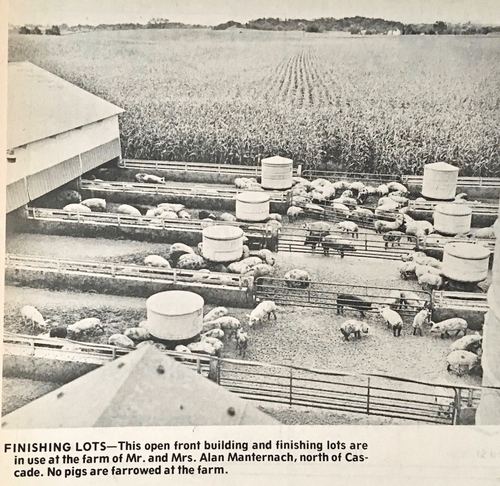 Photograph 270 of 313, 1979 collection