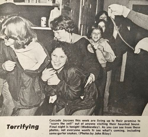 Photograph 279 of 313, 1979 collection