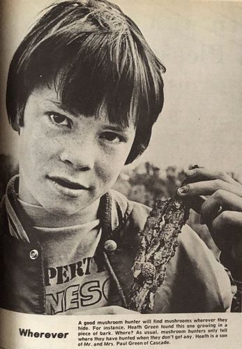 Photograph 146 of 329, 1980 collection