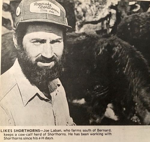 Photograph 176 of 329, 1980 collection