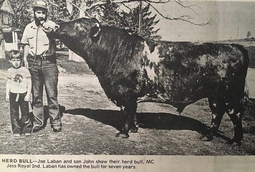 Photograph 177 of 329, 1980 collection
