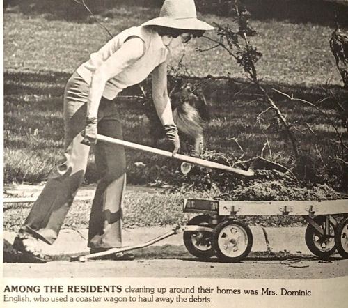 Photograph 188 of 329, 1980 collection