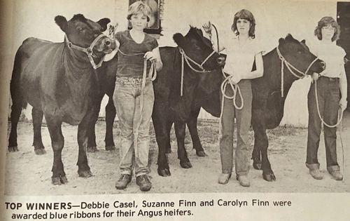 Photograph 223 of 329, 1980 collection